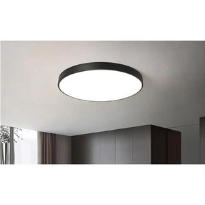 Vesna 50w 500mm kör alakú mennyezeti lámpa