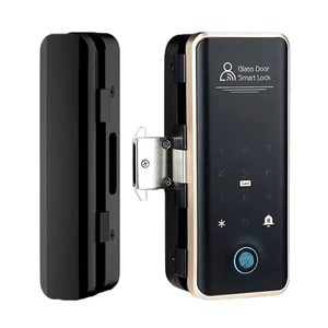 EL-G3 ELECTRONIC SMART GLASS DOOR LOCK