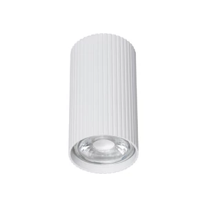 TK LIGHTING DOWNLIGHT SM TUNE 10023 1XGU10 WHITE
