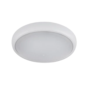 LED ELIPSA FALILÁMPA, BRLED 12W FEHÉR IP54