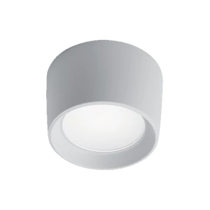 LIVIA 160 LED MENNYEZETI LÁMPA 10W CCT 4000K IP55 FEHÉR