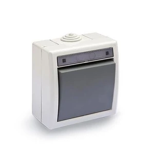 Vízmentes alternatív kapcsoló, 10A-250V, szürke, IP55