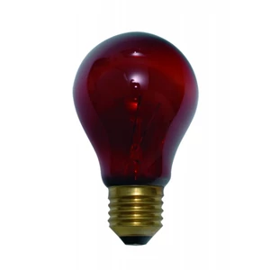 Éjszakai terrárium izzó A60RB 100W E27 500K Helios