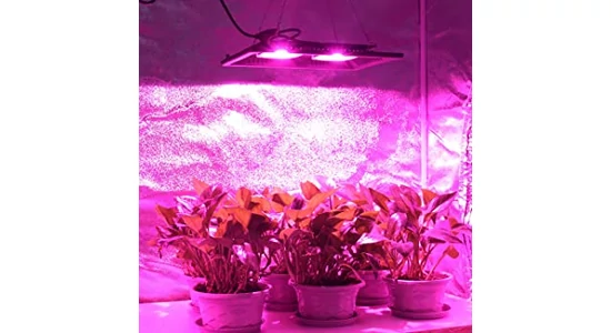 Valóban hatékonyak a led fullspektrumú növénynevelő lámpák?