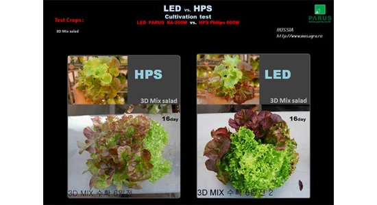 LED Vs HPS és MH Fények összehasonlítása