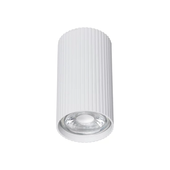 TK LIGHTING DOWNLIGHT SM TUNE 10023 1XGU10 WHITE