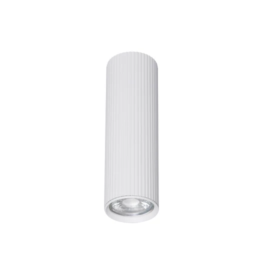 TK LIGHTING DOWNLIGHT SM TUNE 10025 1XGU10 WHITE
