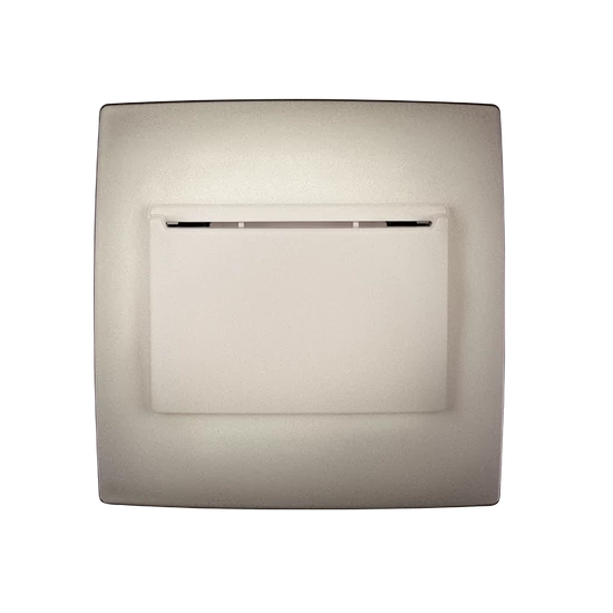 CITY KEY POWER SWITCH CHAMPAGNE, METALLIC
