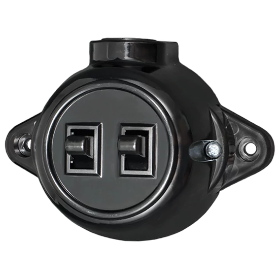 ANTIQUE TWO BUTTON ONE WAY SWITCH 10А 250V BLACK