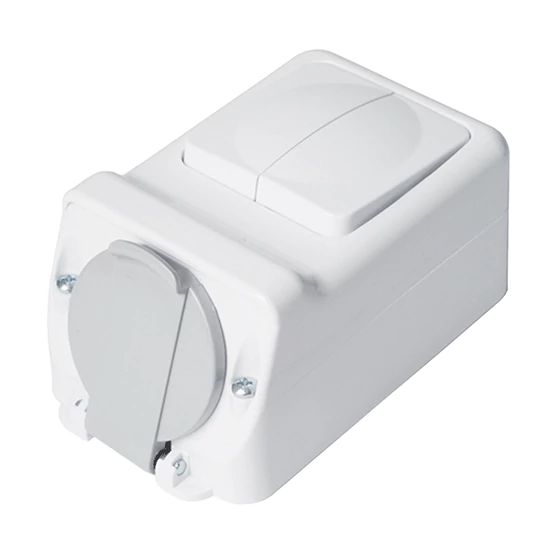 SOCKET+TWO BUTTON ONE WAY SWITCH 16А 250V, IP44