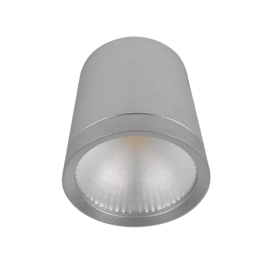 LEDES MÉLYSUGÁRZÓ RDLCOB 20W 230V 4000K 60° EZÜST 