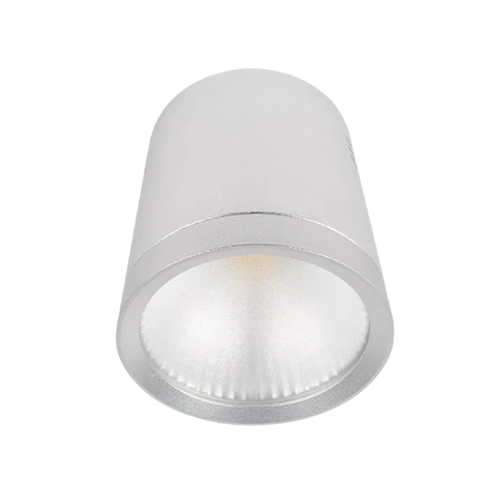 LEDES MÉLYSUGÁRZÓ RDLCOB 20W 230V 4000K 60° FEHÉR 
