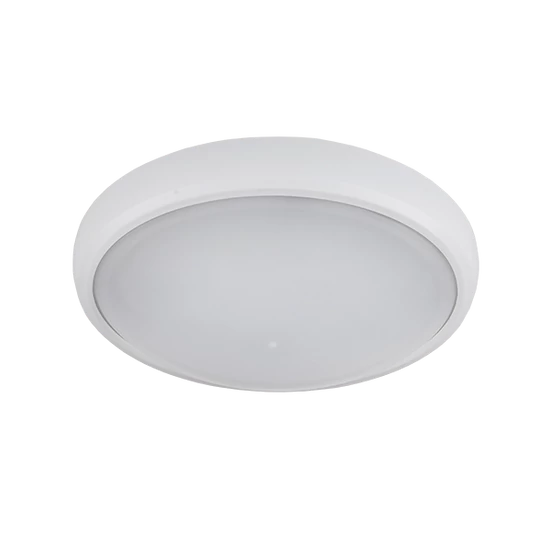 LED ELIPSA FALILÁMPA, BRLED 12W FEHÉR IP54