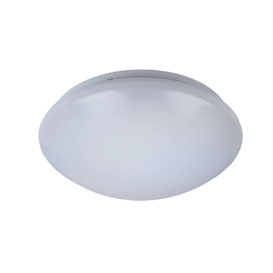 LED MENNYEZETI LÁMPA 12W SMD5730 D250