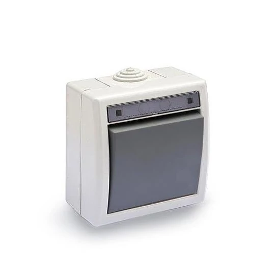 Vízmentes alternatív kapcsoló, 10A-250V, szürke, IP55