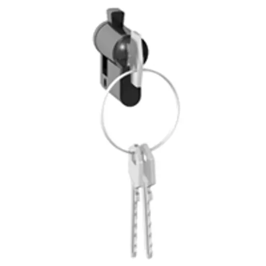 Zárbetét kulcsos kapcsolókhoz, 3 kulccsal (Plexo 55, Céliane, Program Mosaic9