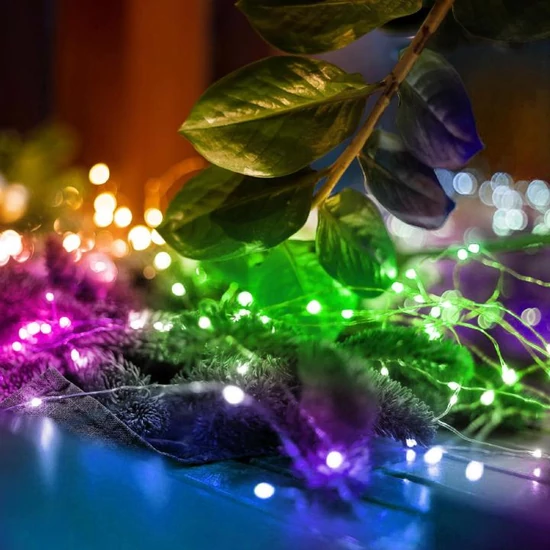 Micro LED fényfüzér, 50 színes micro LED ML 50/M