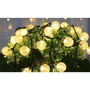 Napelemes LED füzér 40 LED 785cm kerek