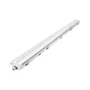 Led lámpatest 120cm 2x36w átlátszó 6500k led