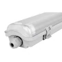 LED lámpatest 120cm 2x36W Átlátszó 6500K LED