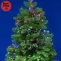 iSparkle microLED-es cluster fényfüzér, SMART, RGB, 120 LED, IP44